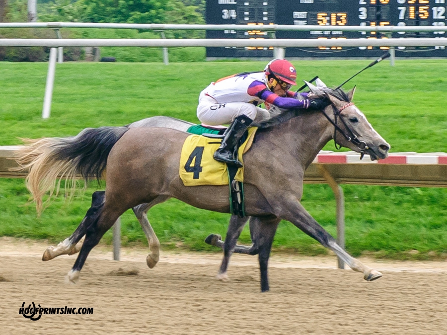 Iridesse winning at Delaware Park on 5/4/19